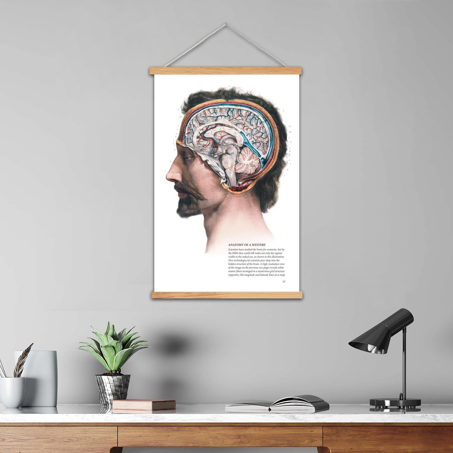 cervello incorniciata pittura  - Art Print Framed recensione e prezzo